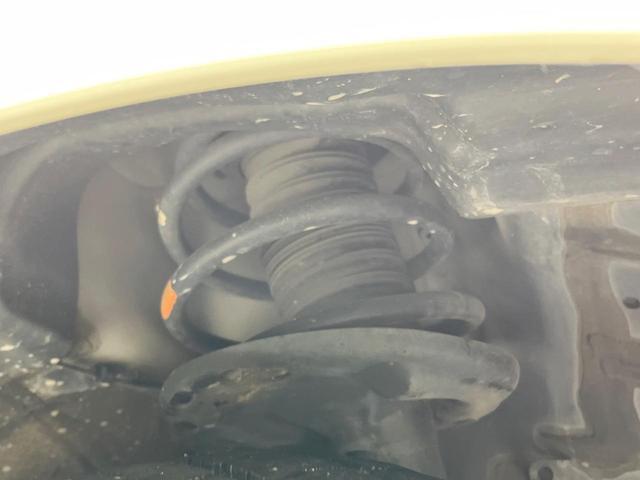 22261836_carP_l_20.jpg