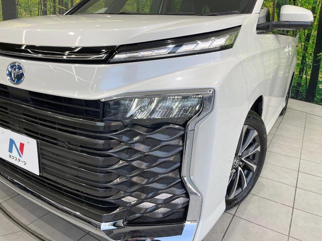 22799965_carP_l_7.jpg