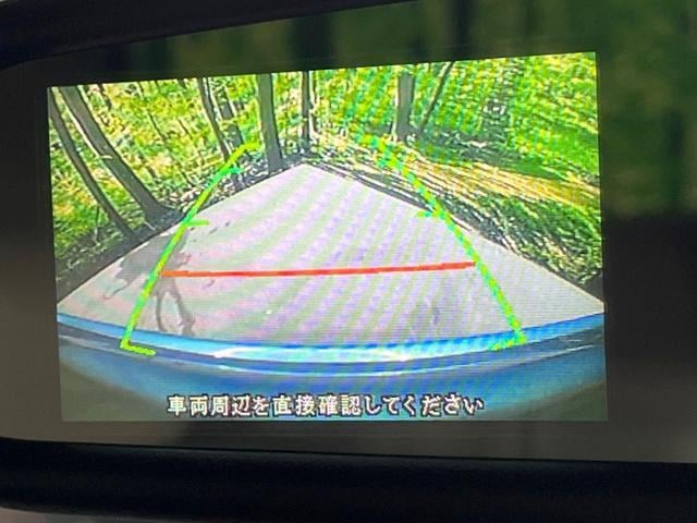 18330950_carP_l_10.jpg