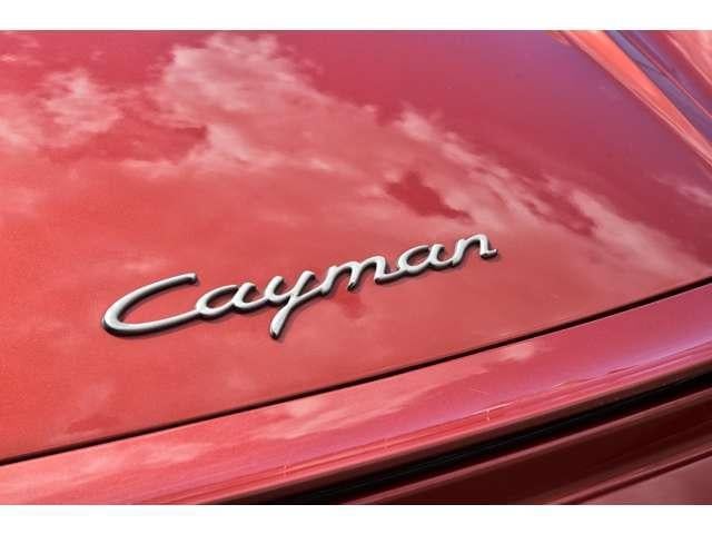 18873681_carP_l_11.jpg