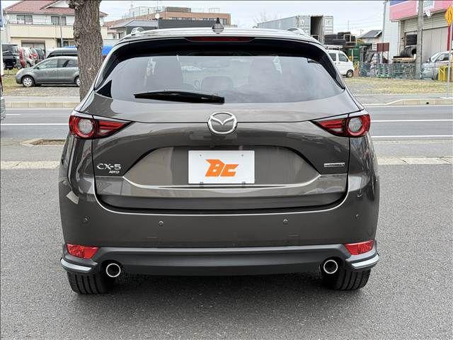 25ce27ce09a824fea3f63ae4921ebf61.jpg