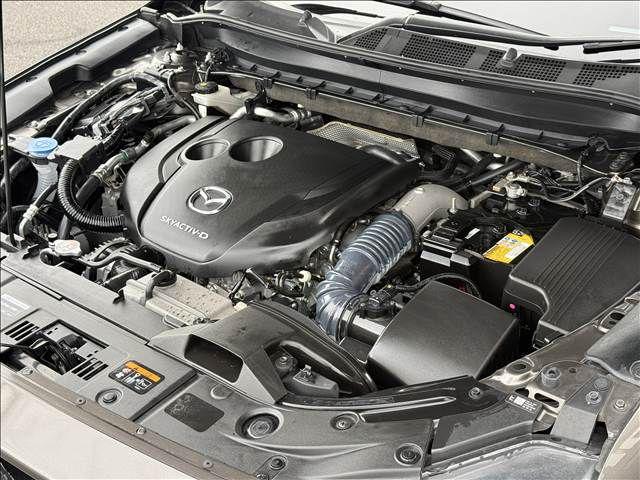 fd7ef4236c40e536f59f73766254f61d.jpg