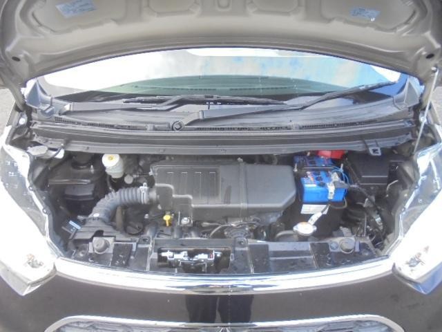 13969426_carP_l_13.jpg