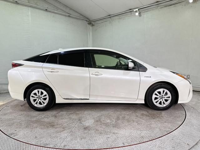 21942094_carP_l_8.jpg