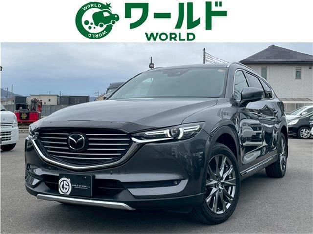 22511913_carP_l_1.jpg