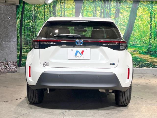 22392768_carP_l_9.jpg