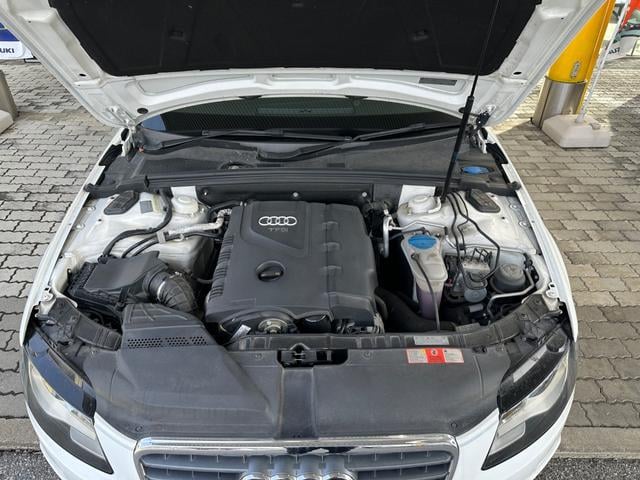 0702451A30250309W00116.jpg