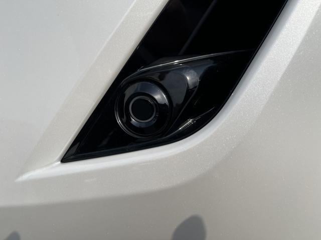 0710084A30251122W00204.jpg