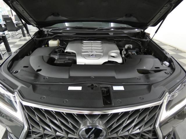 19864982_carP_l_20.jpg