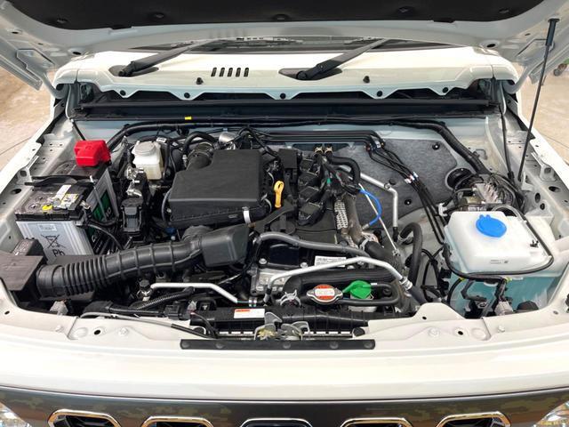 21909760_carP_l_11.jpg