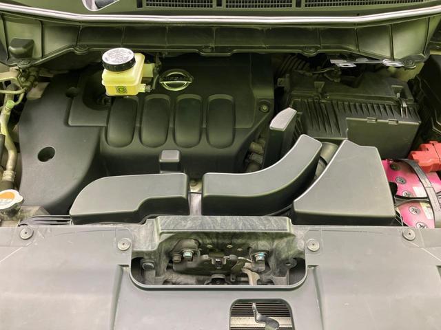 23188082_carP_l_18.jpg