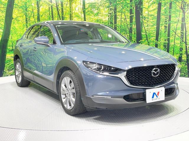 21672442_carP_l_11.jpg