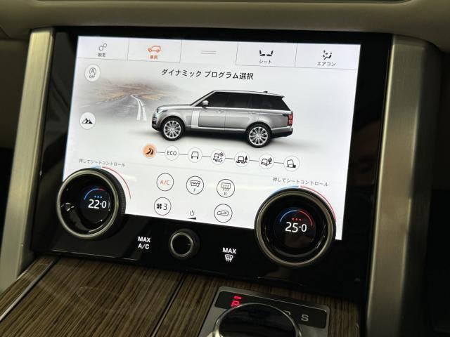 18084946_carP_l_9.jpg