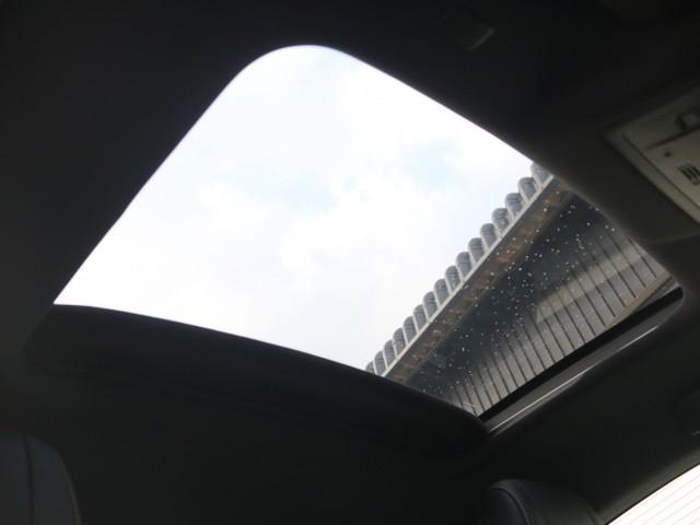 21659026_carP_l_12.jpg