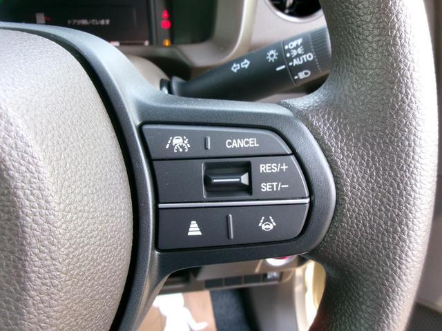0400046A30251107W00407.jpg