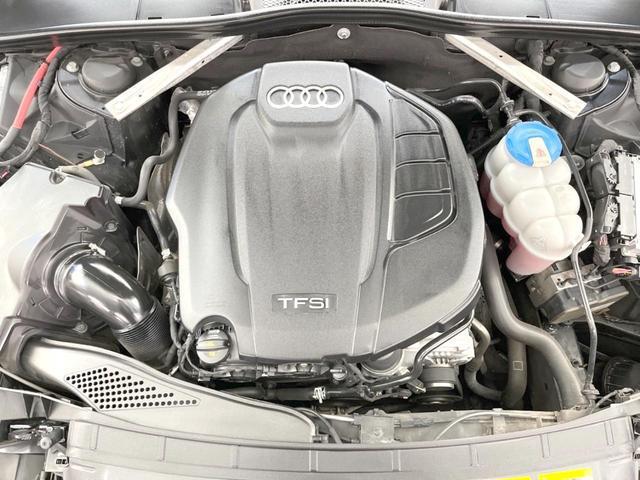 22525788_carP_l_16.jpg