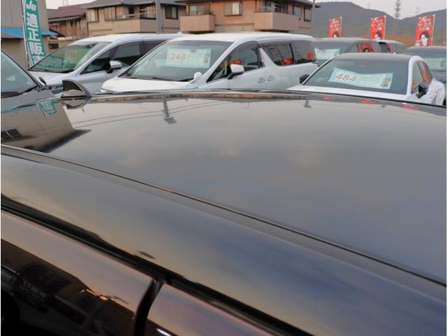 23130709_carP_l_5.jpg