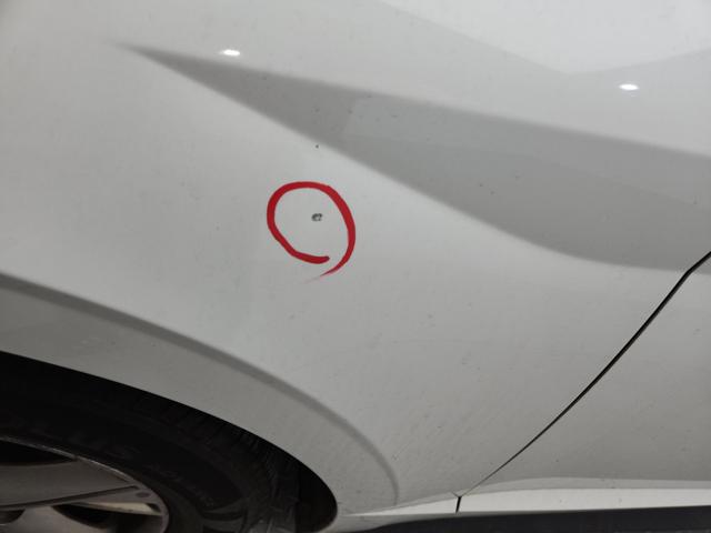 lotterental_154221758_bX7Hk_6.jpg