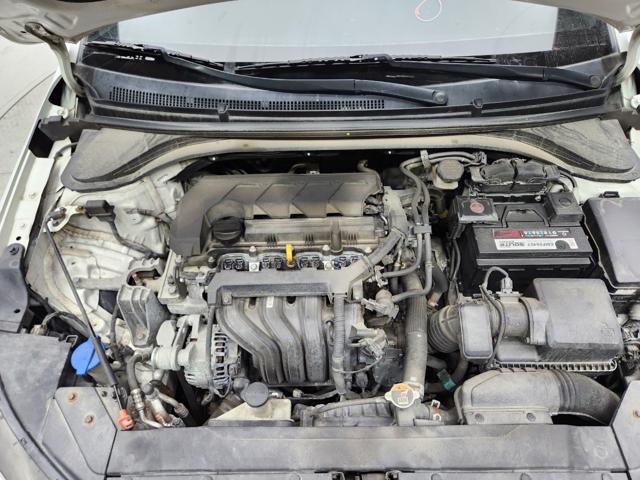 lotterental_154033413_LS8z4_6.jpg