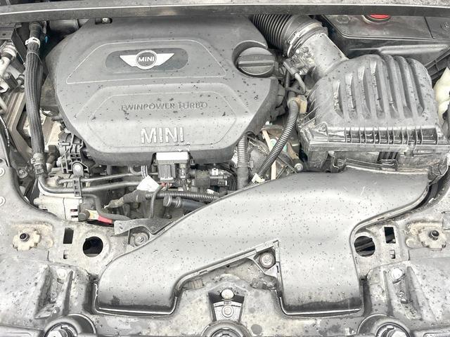 22429156_carP_l_18.jpg