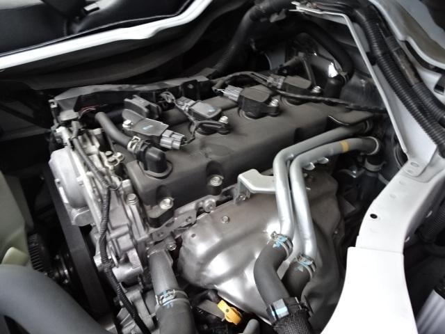 19548742_carP_l_17.jpg