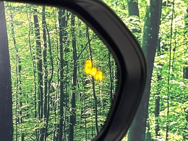 18624098_carP_l_13.jpg