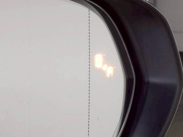 22108069_carP_l_14.jpg