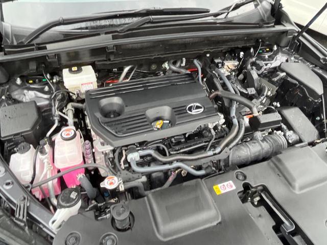 22021459_carP_l_16.jpg