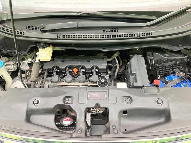 21254081_carP_l_18.jpg