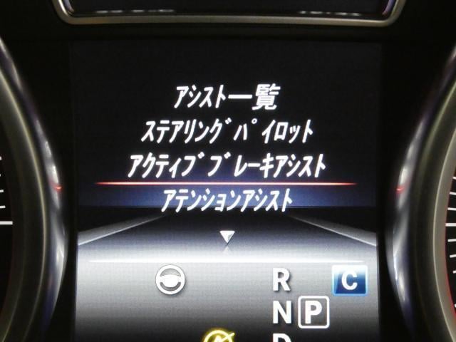 16722839_carP_l_9.jpg