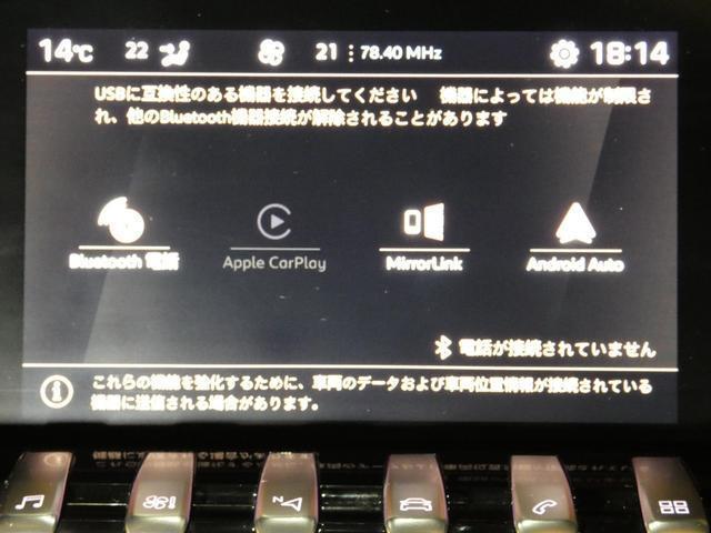 20643916_carP_l_7.jpg