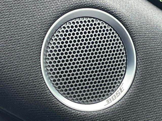 22353825_carP_l_10.jpg
