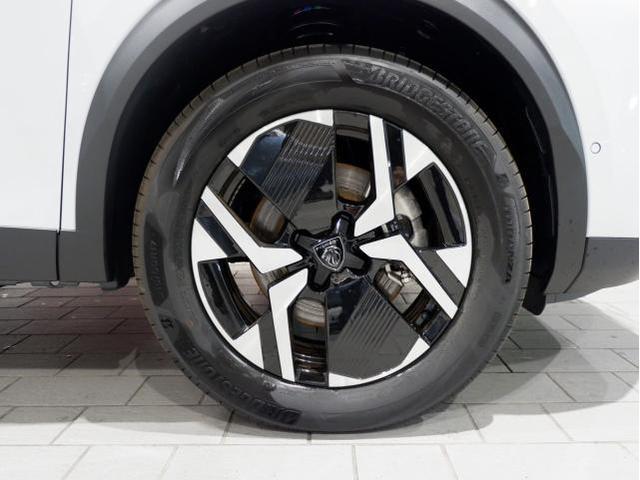 22485819_carP_l_13.jpg