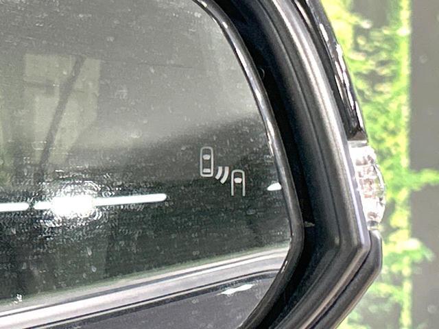 23226290_carP_l_13.jpg