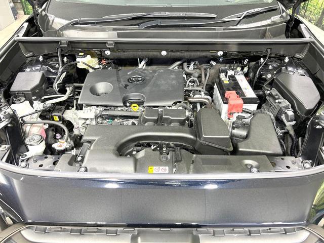 23226290_carP_l_16.jpg