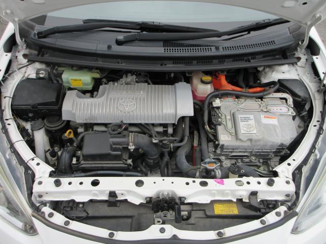 21797332_carP_l_17.jpg