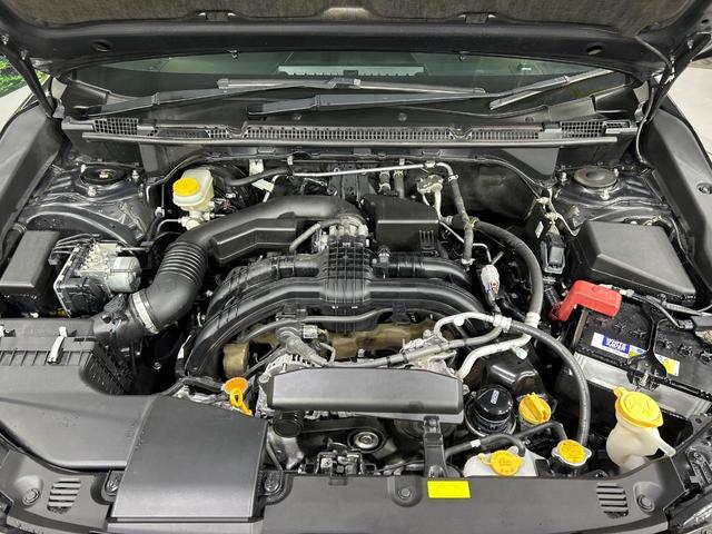20071093_carP_l_20.jpg