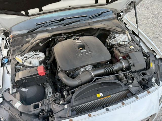 23230826_carP_l_20.jpg
