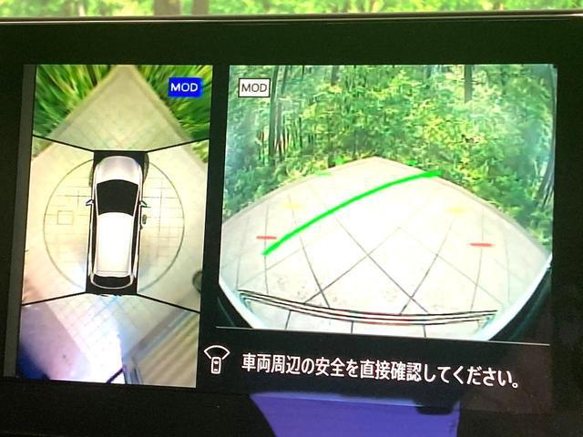 21166828_carP_l_4.jpg