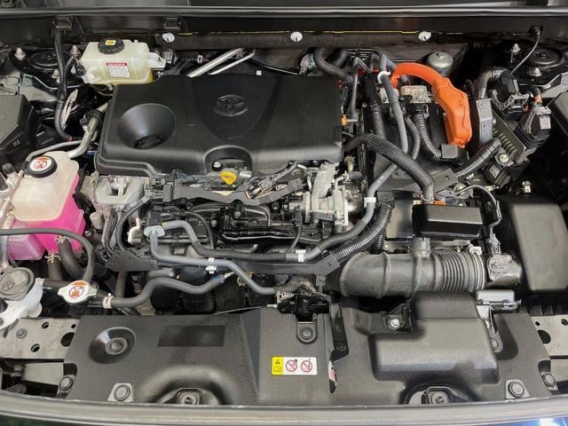 20039440_carP_l_20.jpg