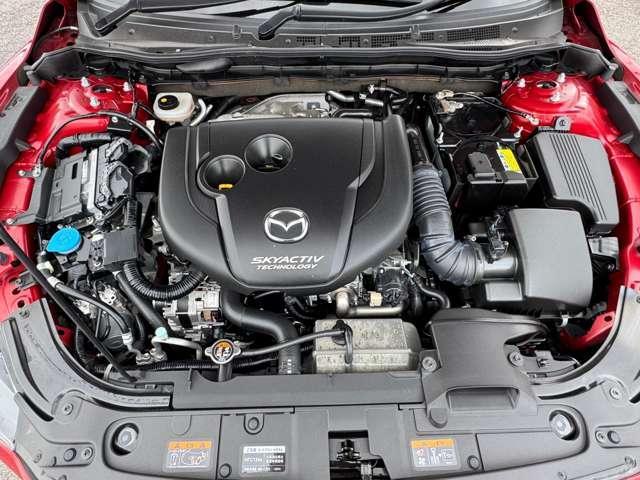 21644628_carP_l_8.jpg