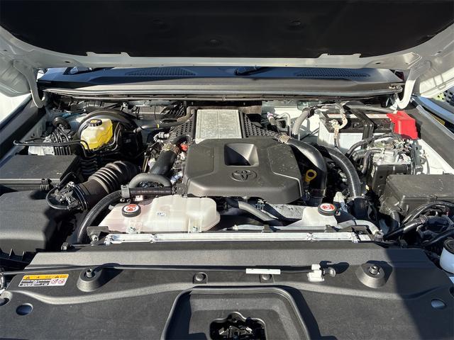 9700332A30260217W00116.jpg