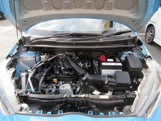 19819159_carP_l_16.jpg