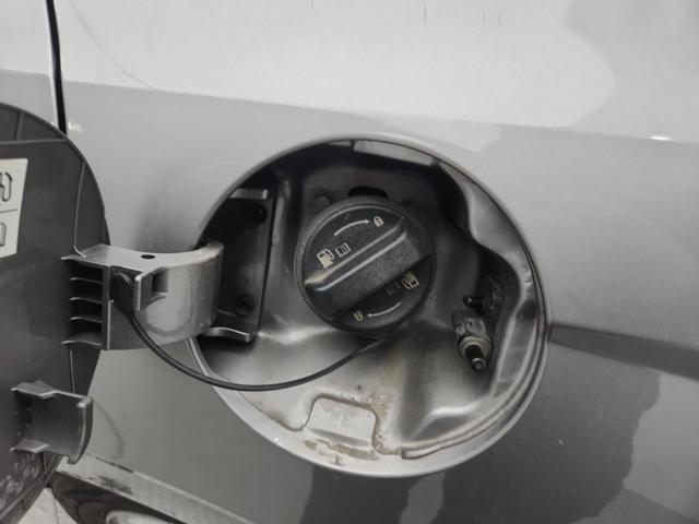 lotterental_224431745_9ZU8b_1.jpg