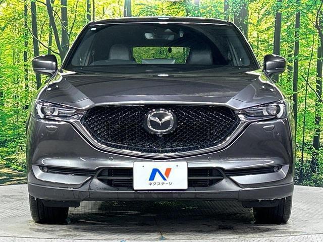 21854506_carP_l_12.jpg