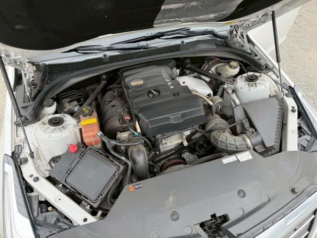 23154455_carP_l_20.jpg