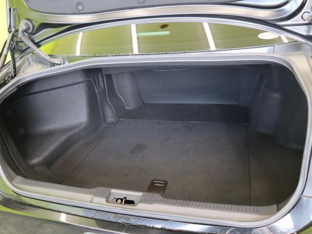 19579476_carP_l_8.jpg