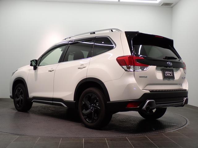 0205776A30260315W00210.jpg