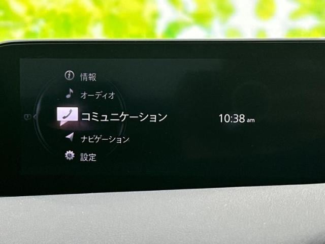 17601317_carP_l_19.jpg