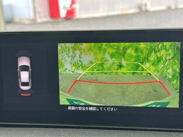 17601317_carP_l_7.jpg